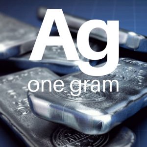 Pool Allocated Silver - One Gram