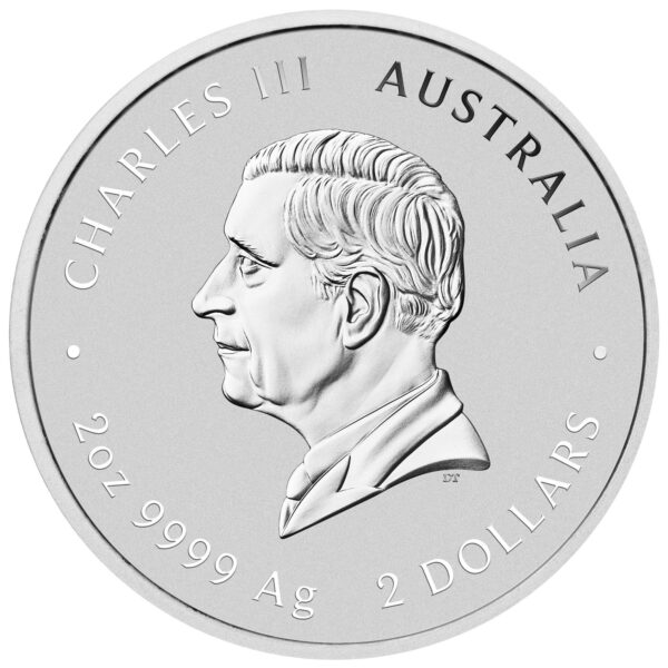 Perth Mint 2025 Lunar Snake Silver Coin - 2 oz